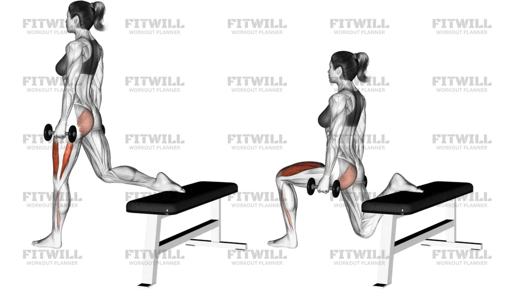 Como Transformar Qualquer Exercício em um Treino de Resistência, Cardio ou Aeróbico