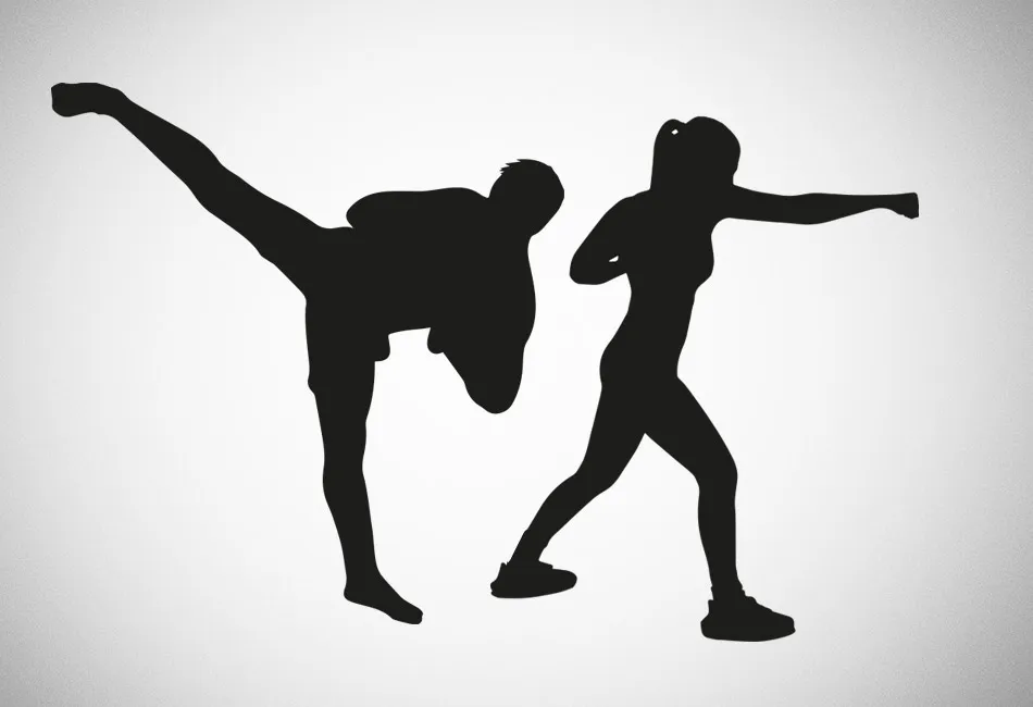 Como Aprender Artes Marciais em Casa e Por Que Você Deveria