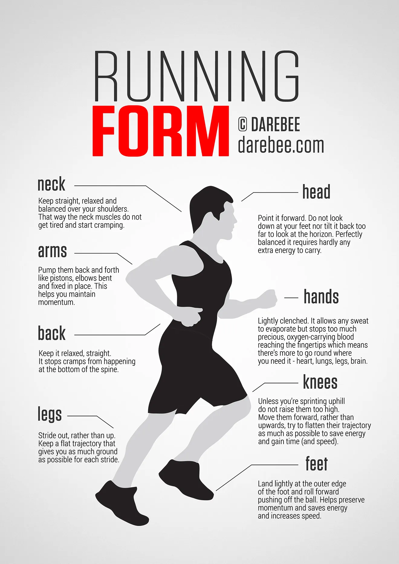 A Importância da Forma na Corrida