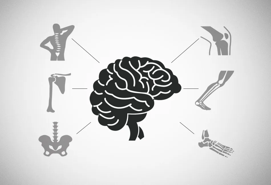 Fortalecimento Ósseo e Saúde Cerebral – Como Melhorar Ambos