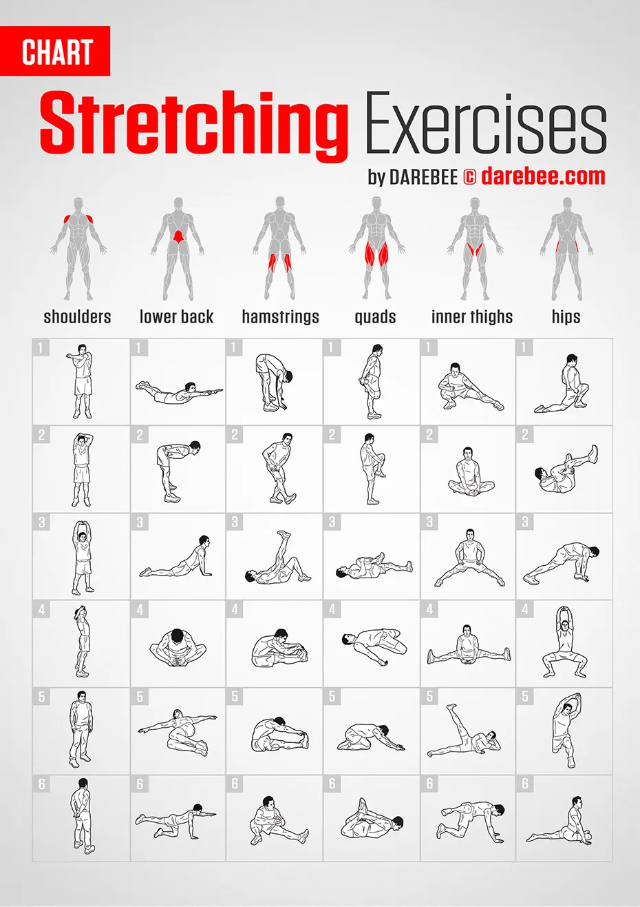 Guia Completo de Exercícios de Alongamento
