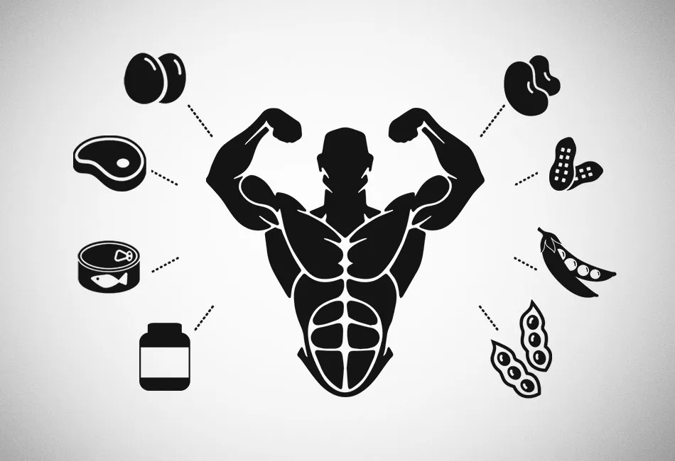 Proteína: Fontes e Quantidades para Construção Muscular