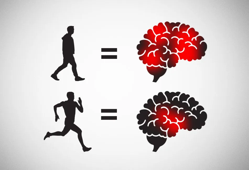 Guia Para o Sistema Nervoso Central e Exercício