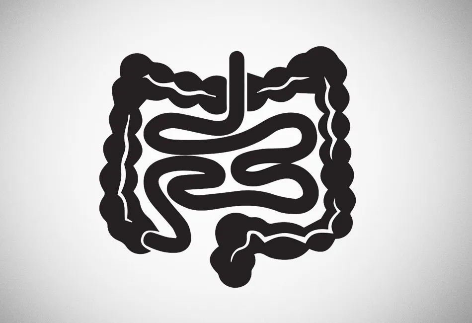 Microbioma Intestinal 101: Entenda o Poder das Bactérias